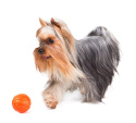 LIKER 5 - piłka dla małych psów i szczeniąt 5 cm