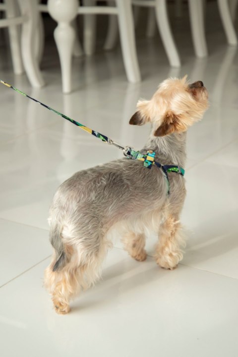 All For Dogs Mini Zestaw dla psa Szara Kratka Rozm. M All For Dogs Mini Zestaw dla psa Szara Kratka Rozm. M