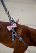 All For Dogs Mini Zestaw dla psa szary z różowym króliczkiem Rozm. M