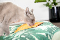 Mata Lickimat SOOTHER dla kotów Orange