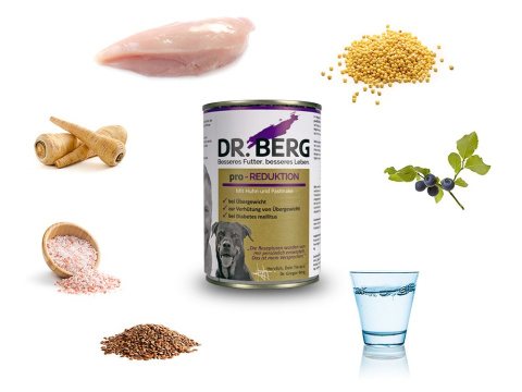 Dr BERG Pro-REDUKTION kurczak z pasternakiem 6 x 400g Dr BERG Pro-REDUKTION kurczak z pasternakiem 6 x 400g
