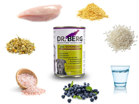 Dr BERG Pro-SCHONKOST kurczak z ryżem 6 x 400g Dr BERG Pro-SCHONKOST kurczak z ryżem 6 x 400g