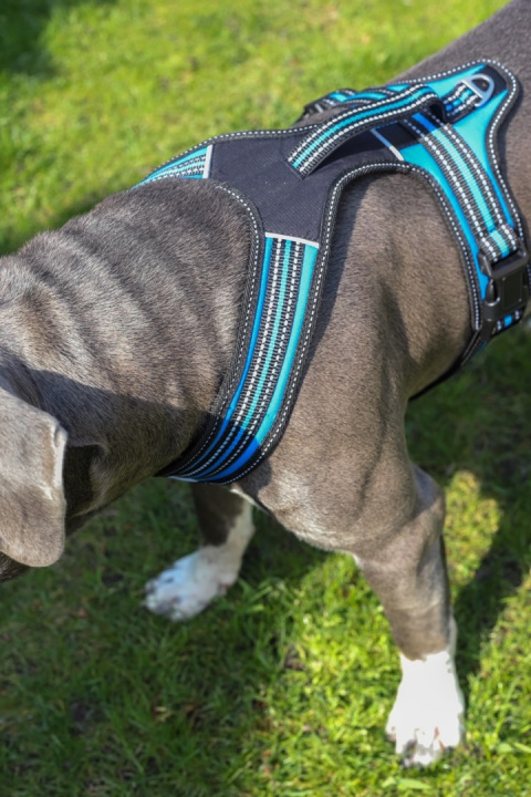 All For Dogs 3x-Sportowe szelki dla psa rozm. XS Niebieskie All For Dogs 3x-Sportowe szelki dla psa rozm. XS Niebieskie