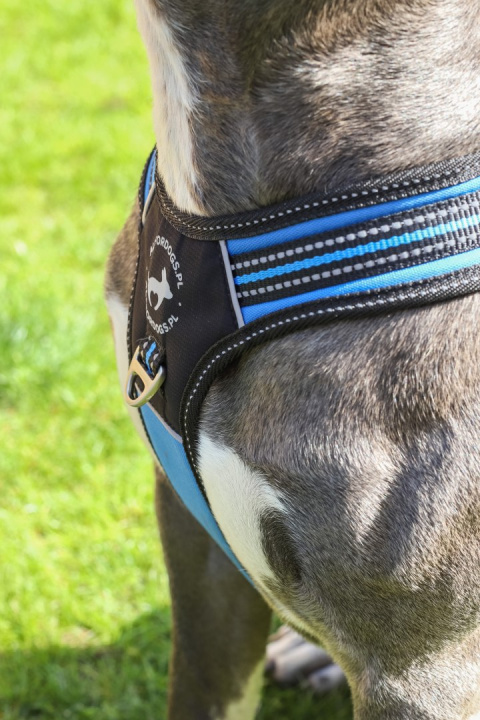 All For Dogs 3x-Sportowe szelki dla psa rozm. XS Niebieskie All For Dogs 3x-Sportowe szelki dla psa rozm. XS Niebieskie