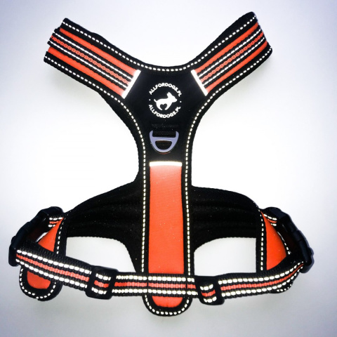 All For Dogs 3x-Sport szelki dla psa rozm. M Pomarańczowe NEON All For Dogs 3x-Sport szelki dla psa rozm. M Pomarańczowe NEON