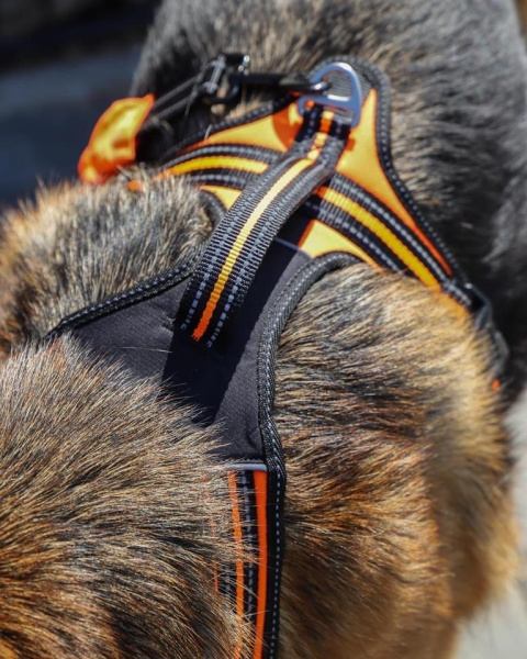 All For Dogs 3x-Sport szelki dla psa rozm. M Pomarańczowe NEON All For Dogs 3x-Sport szelki dla psa rozm. M Pomarańczowe NEON