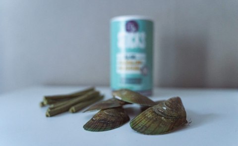 TENETRIO HUNDESTICKS-patyczki do żucia z owadami, algami i omułkami 340g TENETRIO HUNDESTICKS-patyczki do żucia z owadami, algami i omułkami 340g