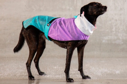 Zee Dog Płaszczyk przeciwdeszczowy dla psa Bel - Air rozm. L