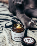 JAZZ FOR PETS MASEŁKO Z CBD NA ŁAPKI I NOSEK 30 ml