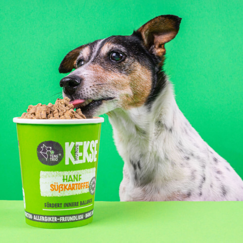 Tenetrio Hundekekse Hanf - ciasteczka z owadami, konopiami i batatami 200g Tenetrio Hundekekse Hanf - ciasteczka z owadami, konopiami i batatami 200g