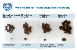 Renske Adult Dog fresh duck and rabbit - świeża kaczka i królik 2 kg