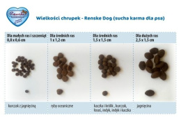Renske Adult Dog świeży indyk i kaczka bez zbóż 2kg