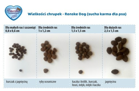 Renske Adult Mini Dog fresh chicken with lamb - świeży kurczak z jagnięciną - sucha karma dla psów małych ras 2 kg Renske Adult Mini Dog fresh chicken with lamb - świeży kurczak z jagnięciną - sucha karma dla psów małych ras 2 kg