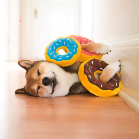 ZIPPY PAWS PLUSZOWY DONUTZ 18cm Czekoladowy Pączek dla psa ZIPPY PAWS PLUSZOWY DONUTZ 18cm Czekoladowy Pączek dla psa