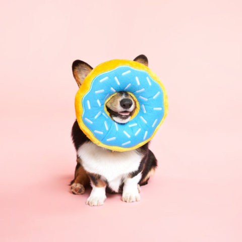 ZIPPY PAWS PLUSZOWY DONUTZ JUMBO 27cm Borówkowy Pączek dla psa ZIPPY PAWS PLUSZOWY DONUTZ JUMBO 27cm Borówkowy Pączek dla psa