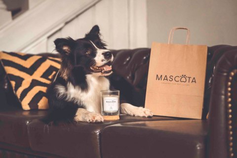 MASCOTA Thai Orchid świeca sojowa neutralizująca zapach zwierząt MASCOTA Thai Orchid świeca sojowa neutralizująca zapach zwierząt