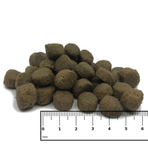 ICEPAW Aztec Pure łosoś z krylem i amarantus karma dla psów 14 kg ICEPAW Aztec Pure łosoś z krylem i amarantus karma dla psów 14 kg