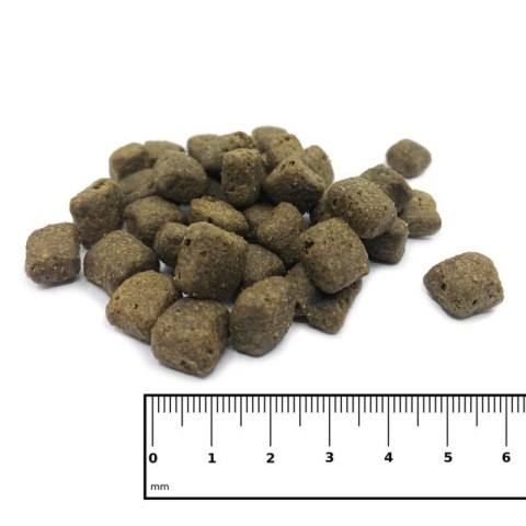 ICEPAW Insect Pure karma z owadów dla dorosłych psów 2 kg ICEPAW Insect Pure karma z owadów dla dorosłych psów 2 kg