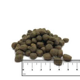 ICEPAW Sport Pure śledź karma dla aktywnych psów 14 kg