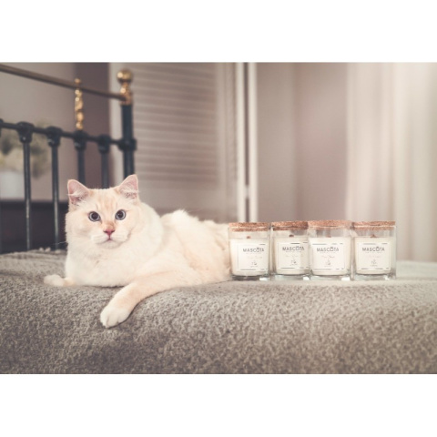 MASCOTA Mexican Coriander świeca sojowa neutralizująca zapach zwierząt MASCOTA Mexican Coriander świeca sojowa neutralizująca zapach zwierząt