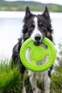 KIWI WALKER Let's Play! Maxi Frisbee dla psa - zielona