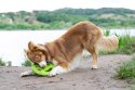 KIWI WALKER Let's Play! Maxi Frisbee dla psa - pomarańczowa