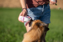 SmoothieDog Doggy Roller z karabińczykiem Turkusowy