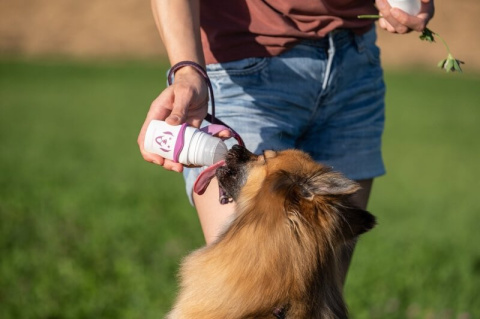 SmoothieDog Doggy Roller z karabińczykiem Turkusowy SmoothieDog Doggy Roller z karabińczykiem Turkusowy