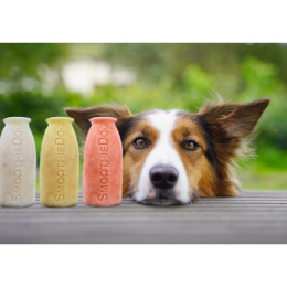 SmoothieDog JAGNIĘCINA 250 ml płynna przekąska dla psa