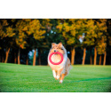 Ring dla psa Puller PitchDog 28' różowy