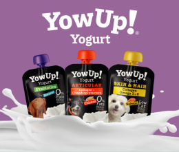 YowUp! Zestaw jogurtów dla psa - MIX