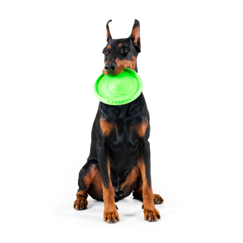 FLYBER latający dwustronny dysk dla psa Frisbee średnica 22 cm FLYBER latający dwustronny dysk dla psa Frisbee średnica 22 cm