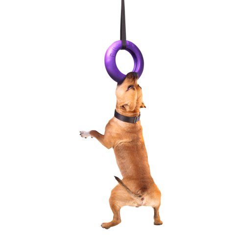 PULLER MAXI Ring dla dużych psów 1 szt. 28cm PULLER MAXI Ring dla dużych psów 1 szt. 28cm