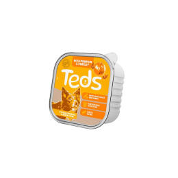 TEDS Insect Pumpkin - karma z owadów, dynią i pietruszką 150g