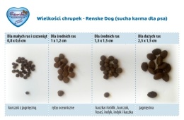 Renske Adult Dog fresh ocean fish - świeże ryby oceaniczne 2 kg