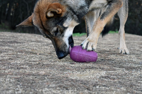 RUCAN CONIC BIG Purple - bardzo twarda, zabawka STOŻEK na przysmaki RUCAN CONIC BIG Purple - bardzo twarda, zabawka STOŻEK na przysmaki