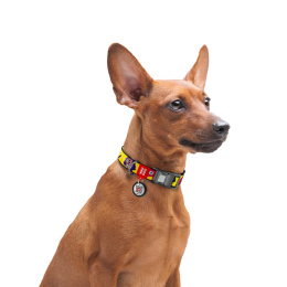 WAUDOG Obroża dla psa Nylon L 33-49/2,5 cm Furry Monster