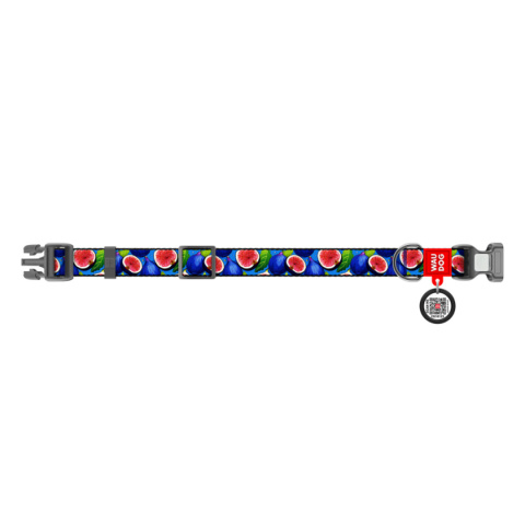 WAUDOG Obroża dla psa Nylon S 25-35/1,5 cm FIGA WAUDOG Obroża dla psa Nylon S 25-35/1,5 cm FIGA