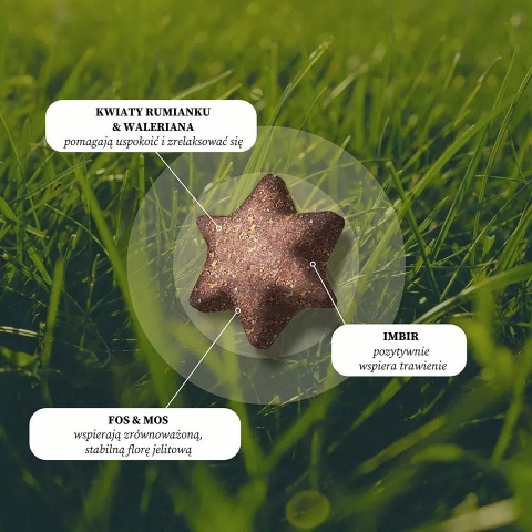DOG'S LOVE VITAL+ Chill - relaks i redukcja stresu przysmaki funkcjonalne dla psa 150g DOG'S LOVE VITAL+ Chill - relaks i redukcja stresu przysmaki funkcjonalne dla psa 150g