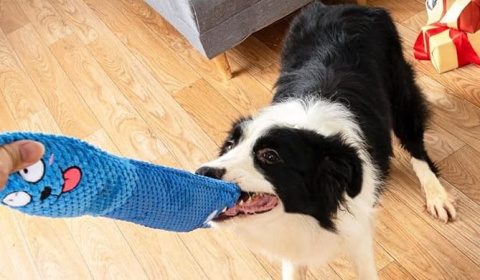 PetGang KRÓLIK zwijany dla psa na smaczki DŁUGI pluszowy 70cm PetGang KRÓLIK zwijany dla psa na smaczki DŁUGI pluszowy 70cm