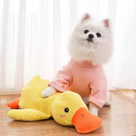 PetGang Pluszak dla psa WIELKA KACZKA przytulanka XXL 40CM PetGang Pluszak dla psa WIELKA KACZKA przytulanka XXL 40CM