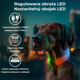 WAUDOG Obroża z podświetleniem LED dla psa, RGB, USB-C regulowana, do 60 cm