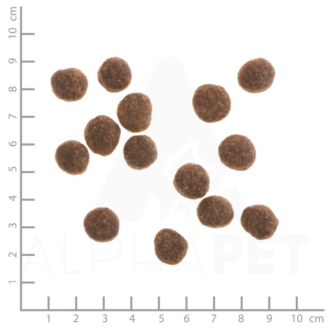 WILDES LAND DOG Ente - kaczka z ziemniakami i ziołami 1kg WILDES LAND DOG Ente - kaczka z ziemniakami i ziołami 1kg