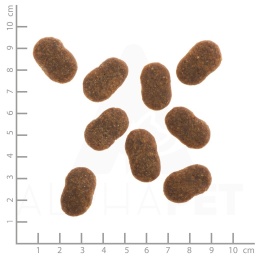 WILDES LAND DOG Rind - wołowina z ziemniakami i ziołami 1kg
