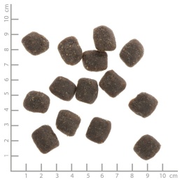 WILDES LAND DOG Soft Rind - wołowina - półwilgotna karma dla psa 5kg