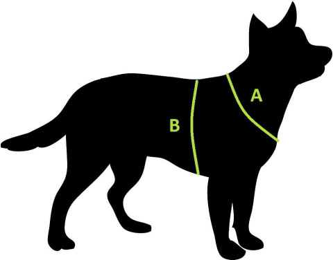 All For Dogs Sportowe szelki odblaskowe rozm. M Czerwone All For Dogs Sportowe szelki odblaskowe rozm. M Czerwone