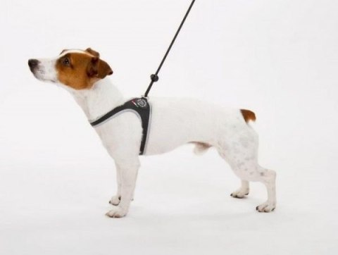 Szelki TRE PONTI Easy Fit Classic Czarne Szelki TRE PONTI Easy Fit Classic Czarne
