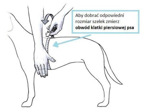 Szelki TRE PONTI Easy Fit Classic regulowane na plecach Różowe Szelki TRE PONTI Easy Fit Classic regulowane na plecach Różowe