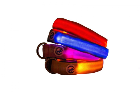 All For Dogs Obroża dla psa Led Collar Yellow M 30-50 cm All For Dogs Obroża dla psa Led Collar Yellow M 30-50 cm