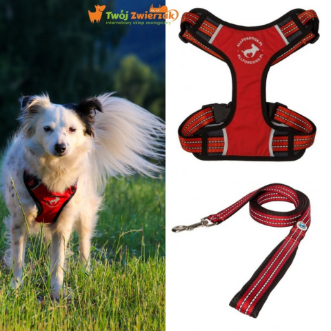 All For Dogs Sportowe szelki odblaskowe rozm. M Czerwone All For Dogs Sportowe szelki odblaskowe rozm. M Czerwone